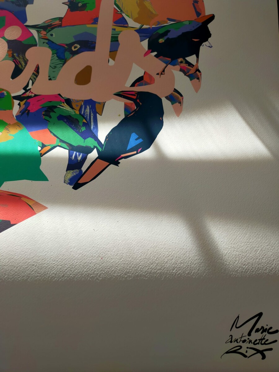 COMPO | Birds – Image 7